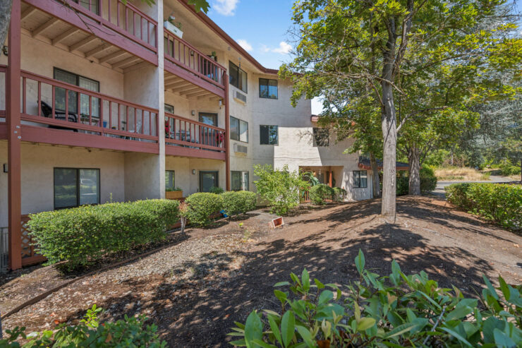 Welcoming outdoor spaces surrounded by greenery, fostering community and comfort for residents.