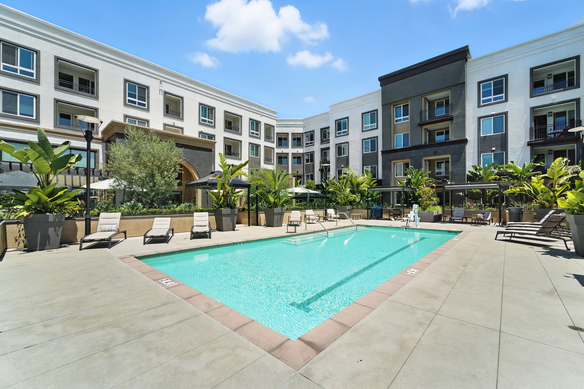 A serene pool area surrounded by lush greenery and comfortable lounge chairs invites relaxation and community.
