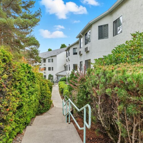 Pathway surrounded by lush greenery leading to welcoming residential buildings under a bright sky