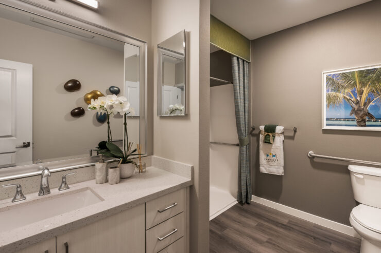A bright, welcoming bathroom featuring elegant decor and thoughtful amenities for comfort and care.