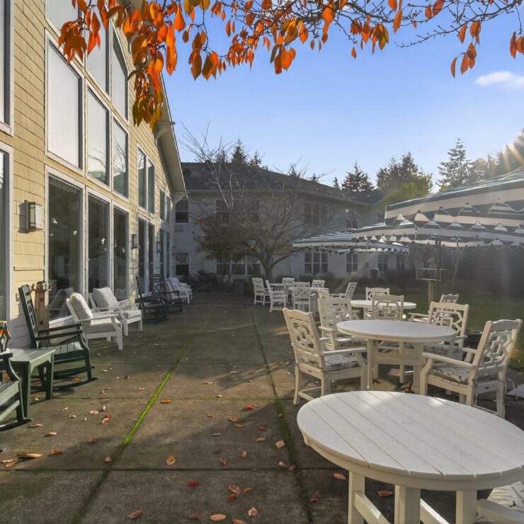 A serene outdoor space with inviting seating, lush greenery, and warm sunlight fosters community and comfort.