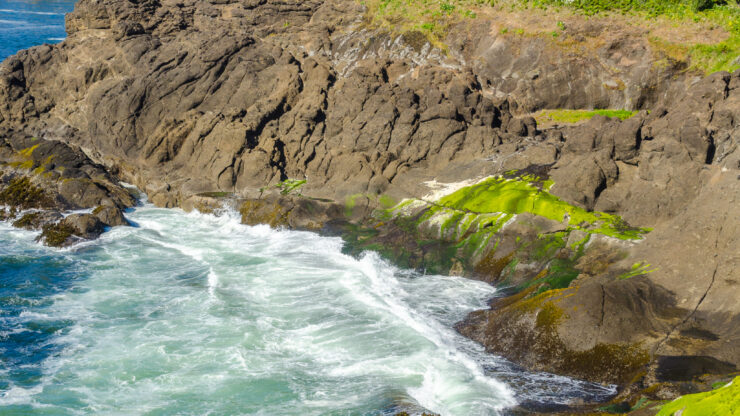 Serene coastal views invite relaxation, surrounded by lush greenery and gentle waves. A perfect retreat.