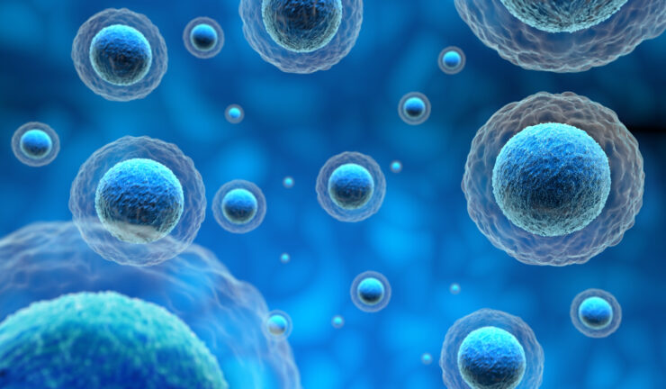 Bright blue spheres float gracefully, symbolizing the vibrant life and community within.