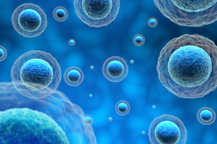 Bright blue spheres float gracefully, symbolizing the vibrant life and community within.