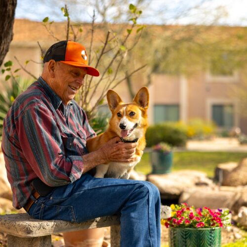 A joyful moment shared between a resident and a playful corgi in a vibrant garden setting.
