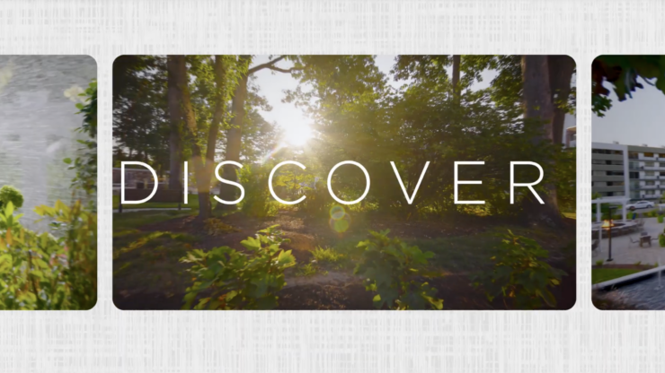 Sunlight filters through lush trees, creating a welcoming atmosphere for community and connection.