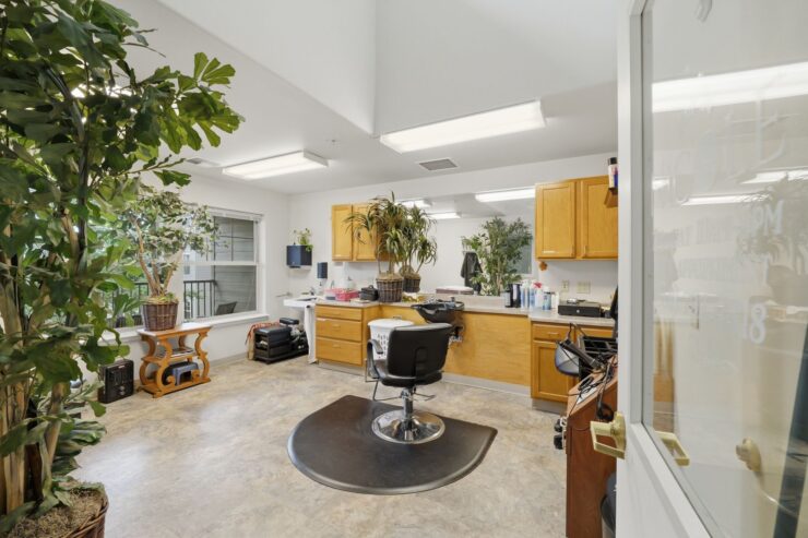 A bright, inviting salon space filled with greenery, fostering a sense of community and care.