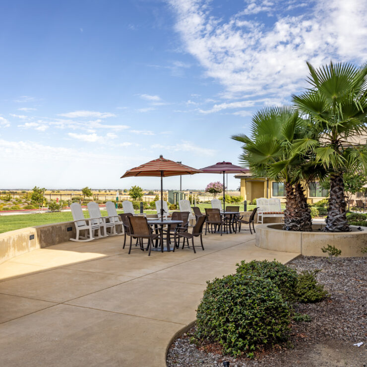 Outdoor seating area with tables, umbrellas, and greenery, ideal for socializing and relaxation.