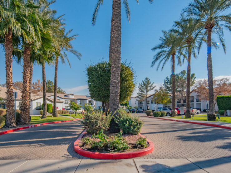 A welcoming entrance lined with palm trees, inviting residents to enjoy a vibrant community atmosphere.