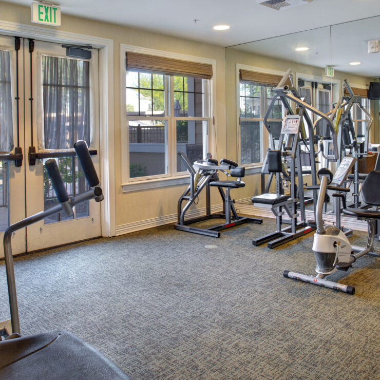 Bright exercise room with modern fitness equipment and large windows for natural light.