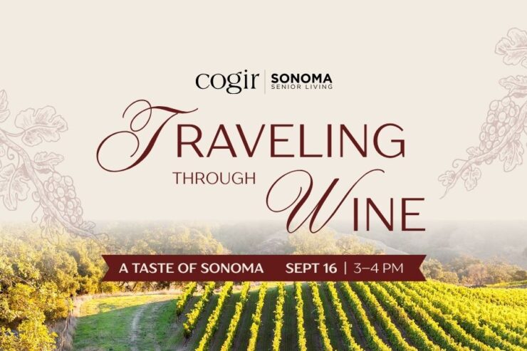 Sunlit vineyard landscape inviting a serene and engaging community experience at Sonoma senior living.