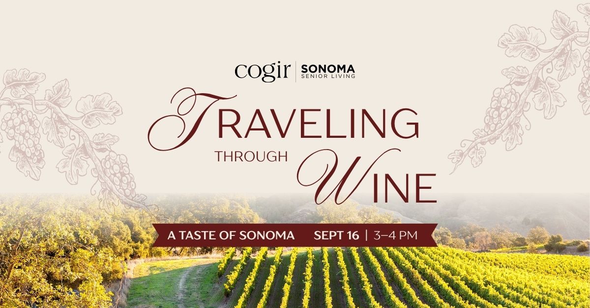 Sunlit vineyard landscape inviting a serene and engaging community experience at Sonoma senior living.