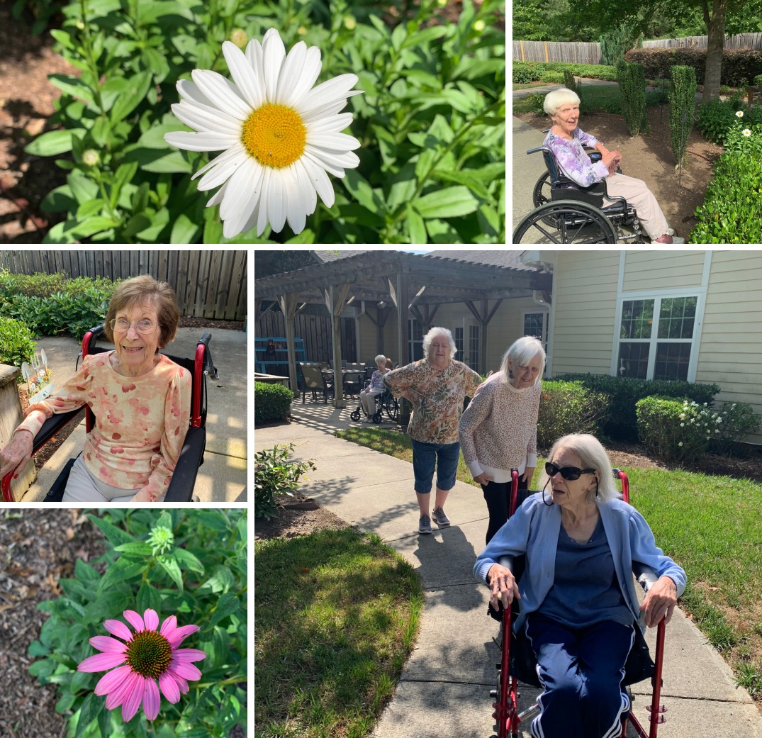 We feel so lucky that the weather has been so gorgeous this week😎! We tended to the garden and went on our morning walk. As we were walking we noticed some flowers blooming along the pathway🌷. We love this weather!😍