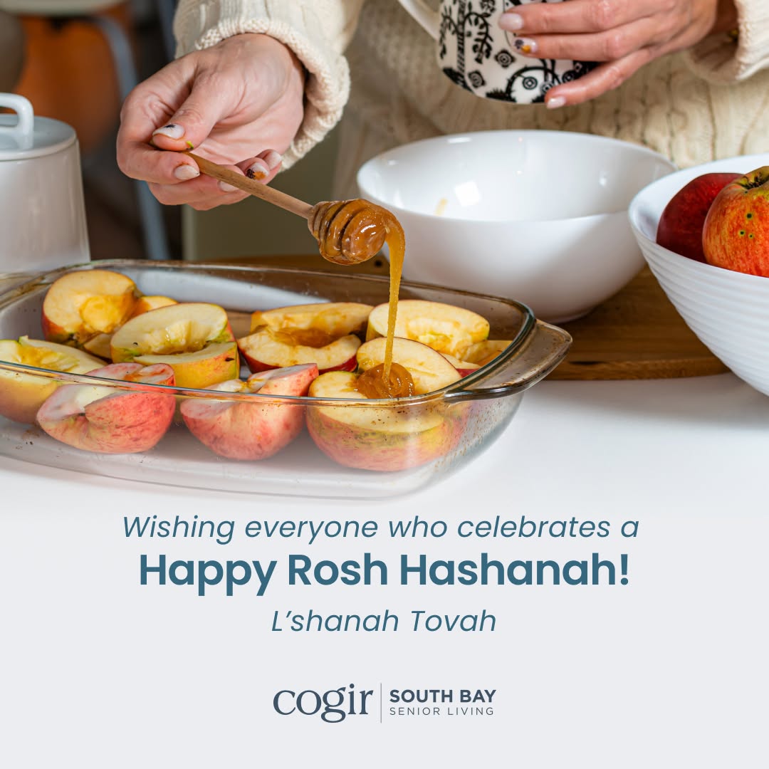 Wishing a sweet and joyful Rosh Hashanah to all who celebrate! May this New Year bring health, happiness, and prosperity to you and your loved ones.✡️🤍