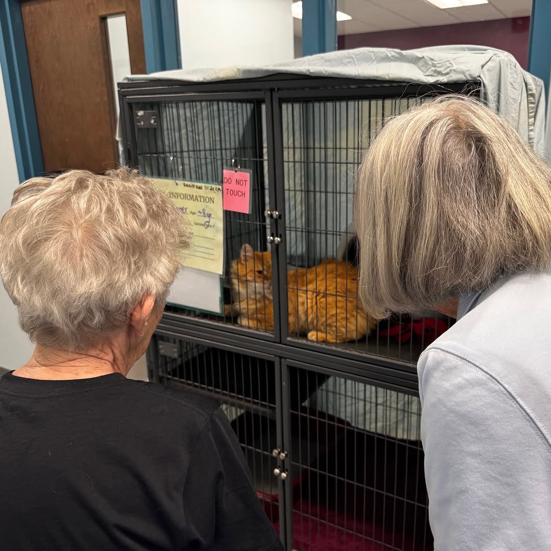 We had a great time seeing all the kittens! They were so cute.