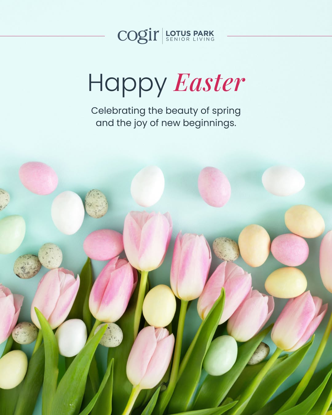 Here’s to Easter’s brighter days, colorful traditions, and the little joys that come with spring. Whether you’re celebrating with family, enjoying a favorite treat, or simply welcoming the season, we hope your day feels cheerful and uplifting. 🐣🌷