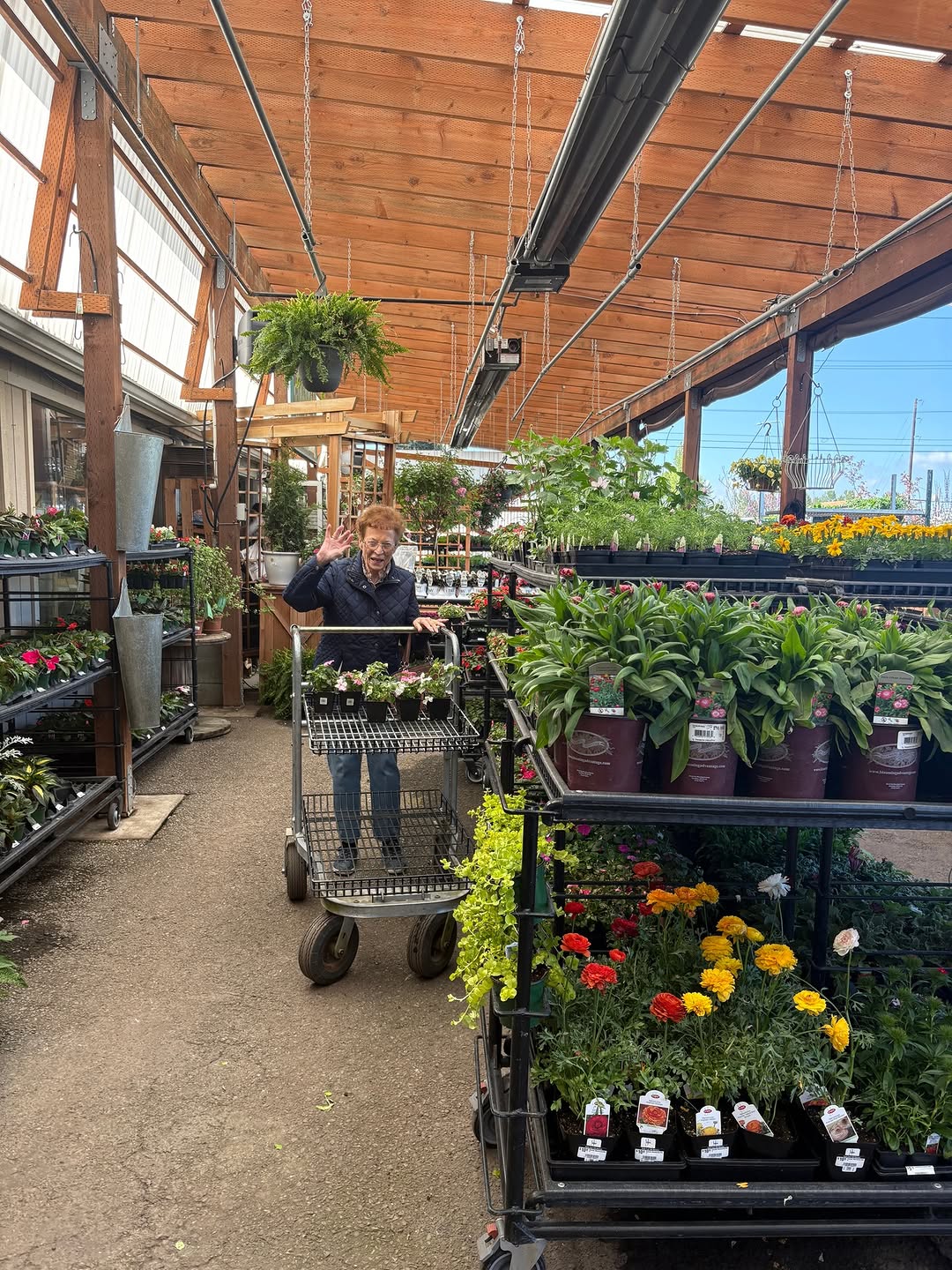 Our residents had a wonderful time soaking up the sunshine during our outing to Kent East Hill Nursery! 🌼☀️ With the beautiful weather on our side, everyone enjoyed strolling through the vibrant flowers, picking out their favorites, and finding the perfect plants to help make our community even more beautiful. It was a day full of fresh air, smiles, and a little extra greenery to brighten our home! 🌿💛