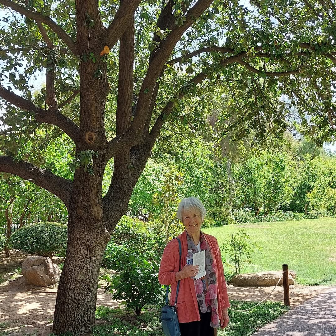Last month we went back to the Japanese Friendship Garden as we do every year. Its a serene hidden gem in the heart of Phoenix that the residents absolutely love visiting.