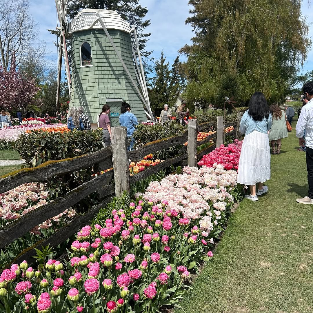 Nothing better than fresh air, good company, and a whole lot of tulips 💐🌷