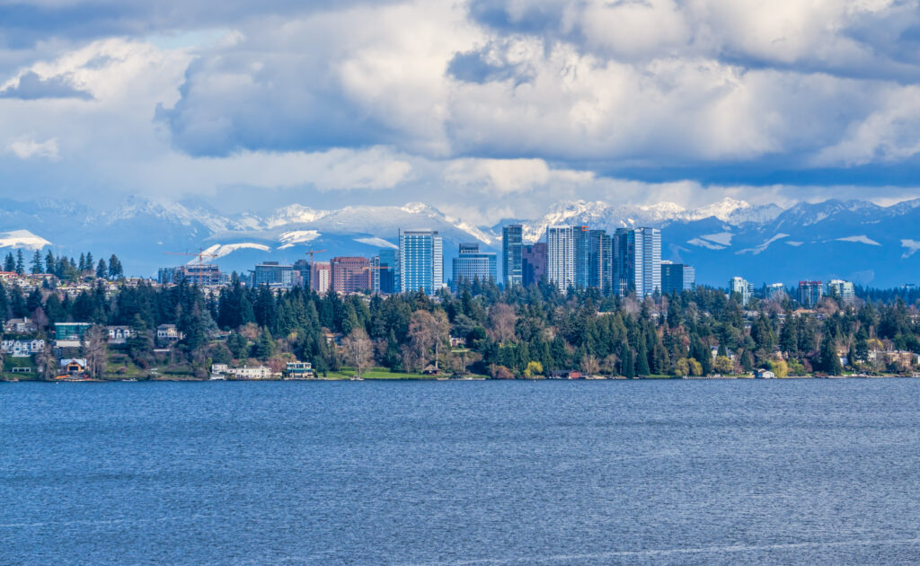 Peaceful waterfront neighborhood with city skyline and snow-capped mountains in the background.