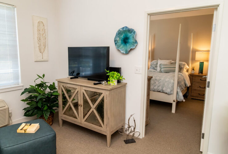 Bright living area with TV, plants, and a view into a softly lit bedroom for restful living.