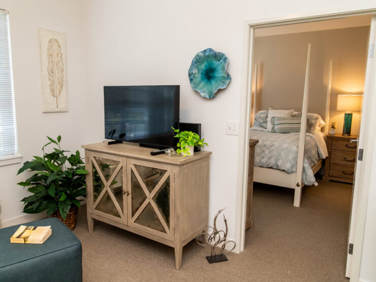 Bright living area with TV, plants, and a view into a softly lit bedroom for restful living.