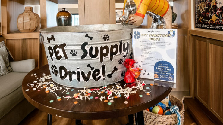 Donation drive set up in welcoming common area, encouraging community support for pets.