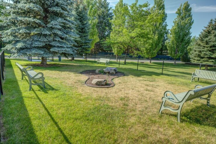 Sunlit garden courtyard with benches, trees, and a peaceful seating area for residents.