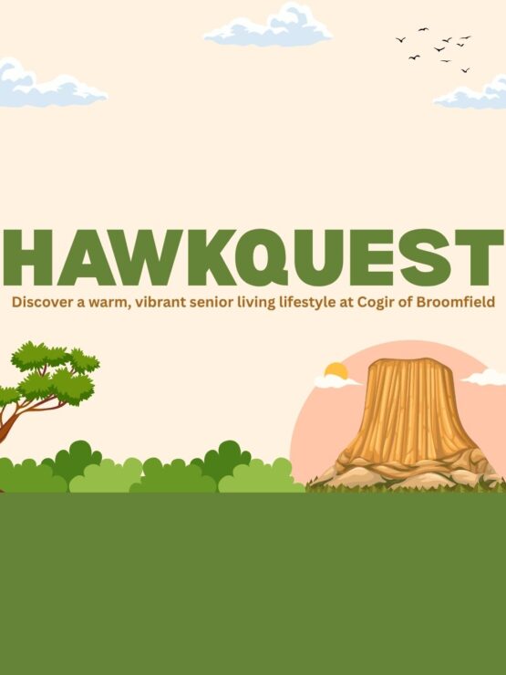 Peaceful outdoor scene with trees, a tree stump, and birds, promoting vibrant senior living.