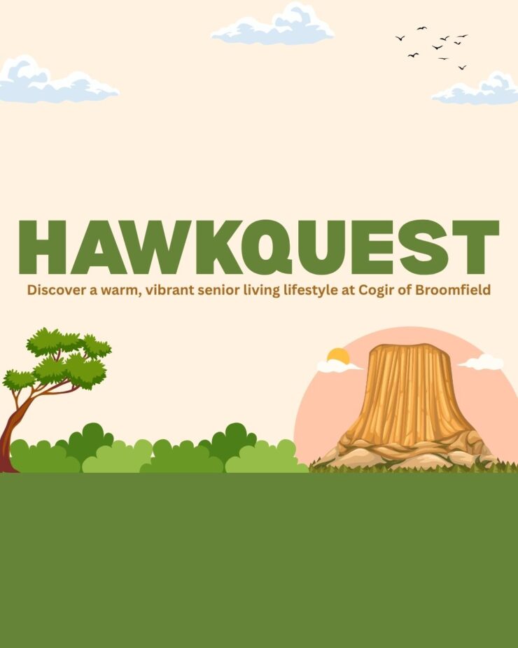 Peaceful outdoor scene with trees, a tree stump, and birds, promoting vibrant senior living.