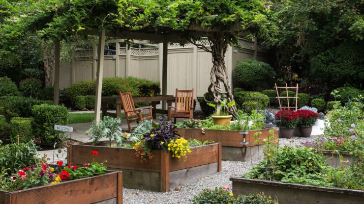 Lush garden with raised flower beds, wooden seating, and a vine-covered pergola for relaxation.