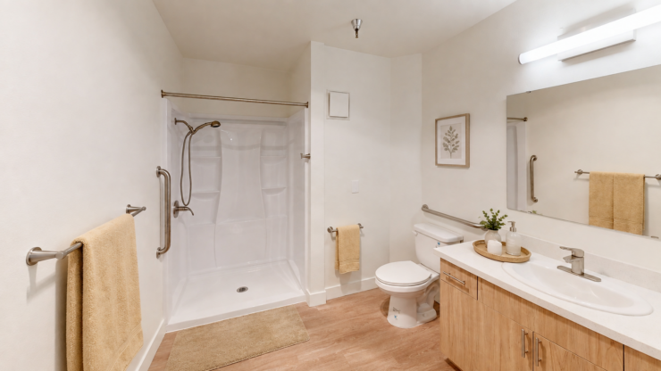 Well-lit bathroom with safety rails, accessible shower, and warm, inviting decor.