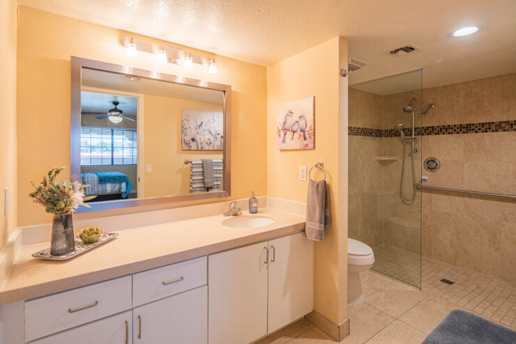 Bright, accessible bathroom with walk-in shower and gentle decor for comfortable living.