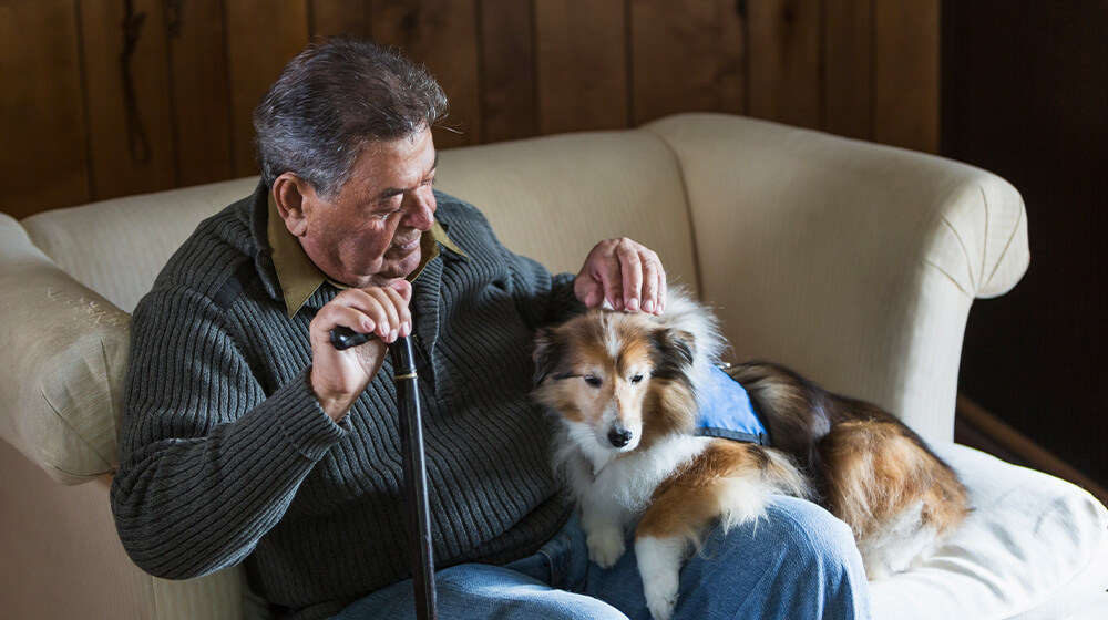 Man with cane sits on couch and scratches his dog's back