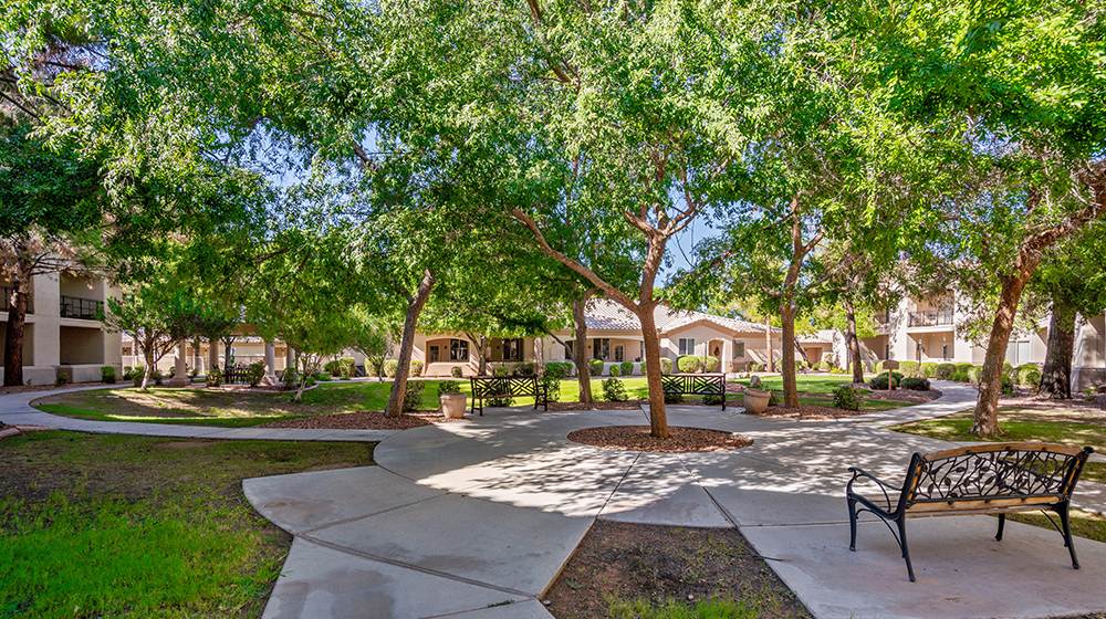 Paved courtyard with trees and shaded benches to sit on at The Montecito Senior Living