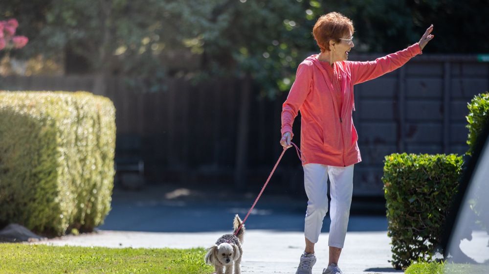 senior care program pet therapy