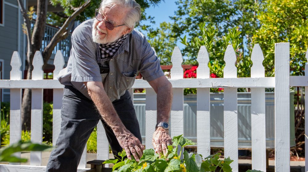 Senior Living in Ogden, Utah, senior man gardening