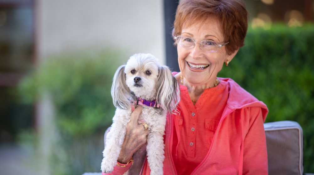 senior care programs, pet therapy